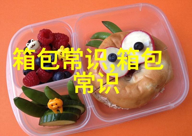 探索意大利风情女包的独特魅力与时尚选择